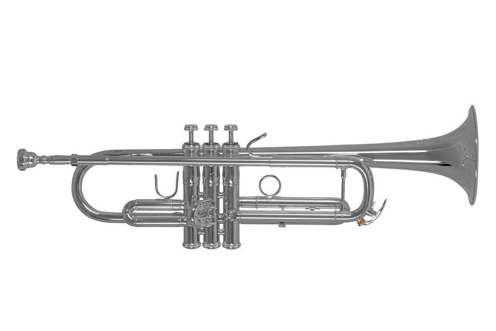 TR450S - Sib Prateada
