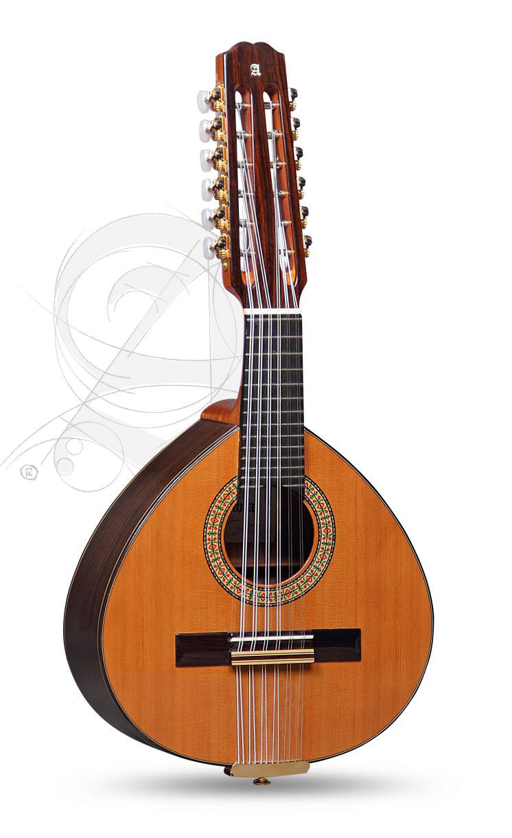 Conservatory 4P Bandurria + 9531 Gigbag