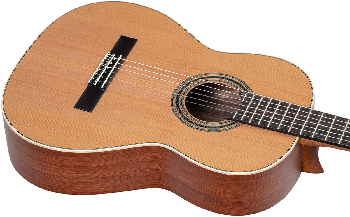 Traditional 4/4 Satin + Pro Gig Bag