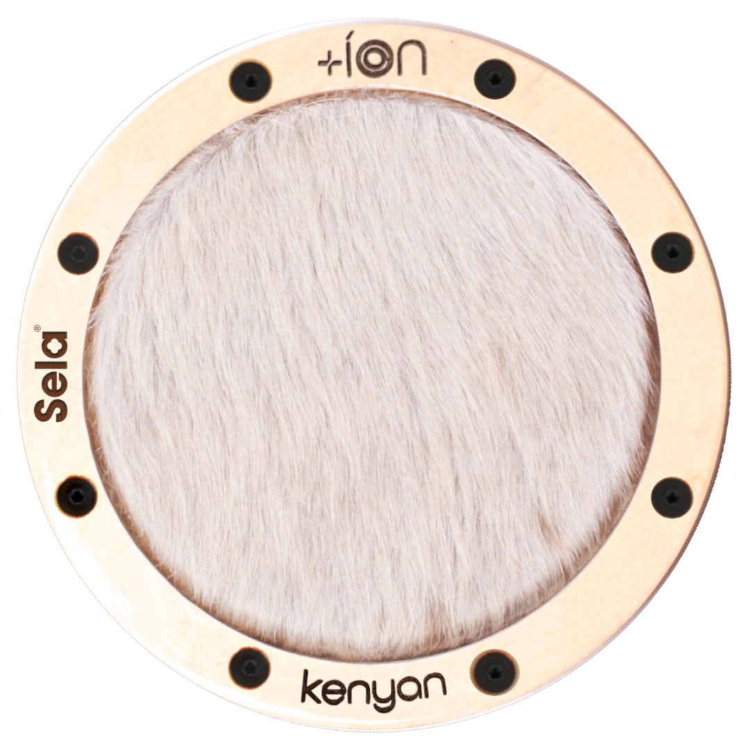 Ion for Iconic Cajon - Queniano