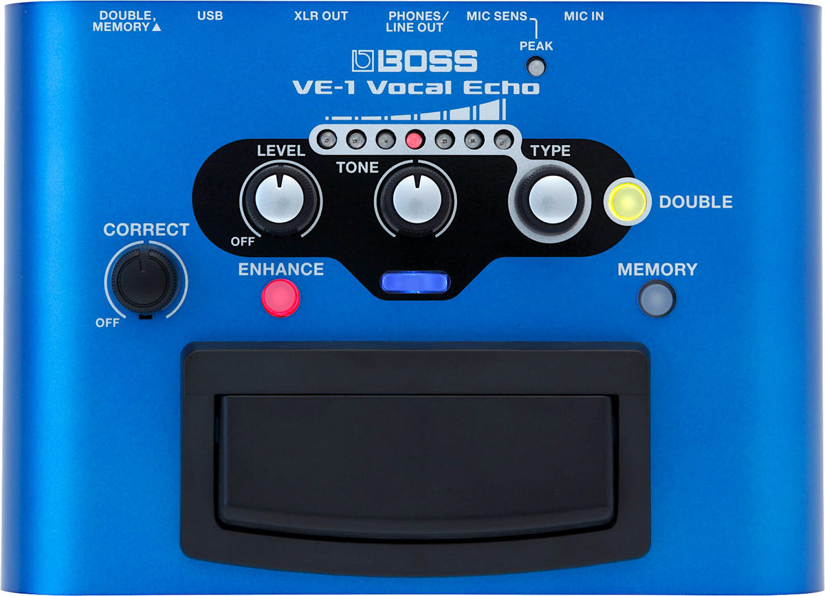 Roland VE-1 Eco vocal