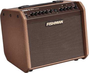 LOUDBOX MINI CHARGE AMPLIFIER