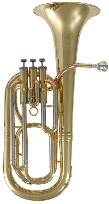 WSH200 - Sib Envernizado