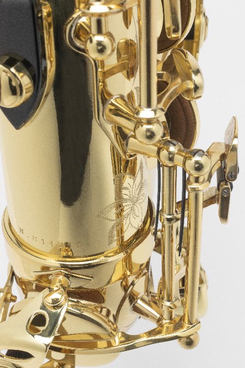 Axos - Tenor Sib Envernizado