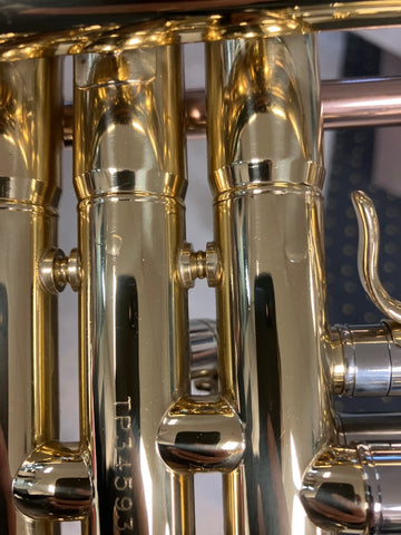 TP300 - Sib envernizado