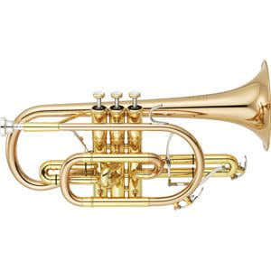 PROF. CORNET - NEO BUZINA / BORE L