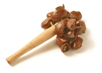 MPP009 - SHAKER DJUDJU - COLA NUTS HANDLE