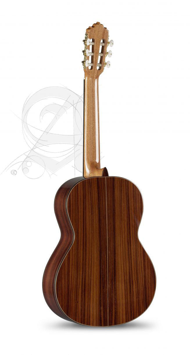 Conservatory 5P 7/8 Senorita + 9736 25mm Gigbag