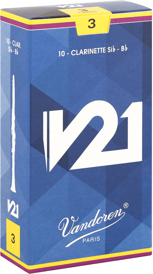 V21 3