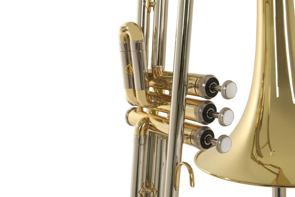 Ambition VT51 Tenor Sib Lacado
