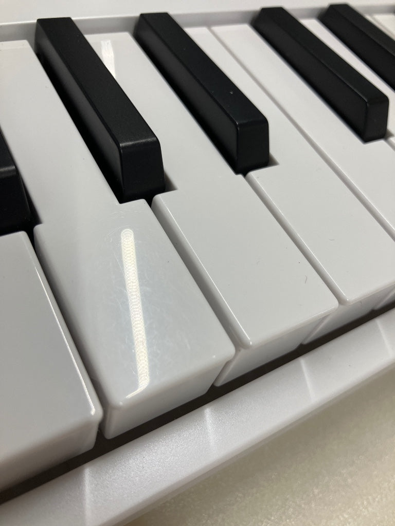MICROKORG MK2 WHITE - B Stock