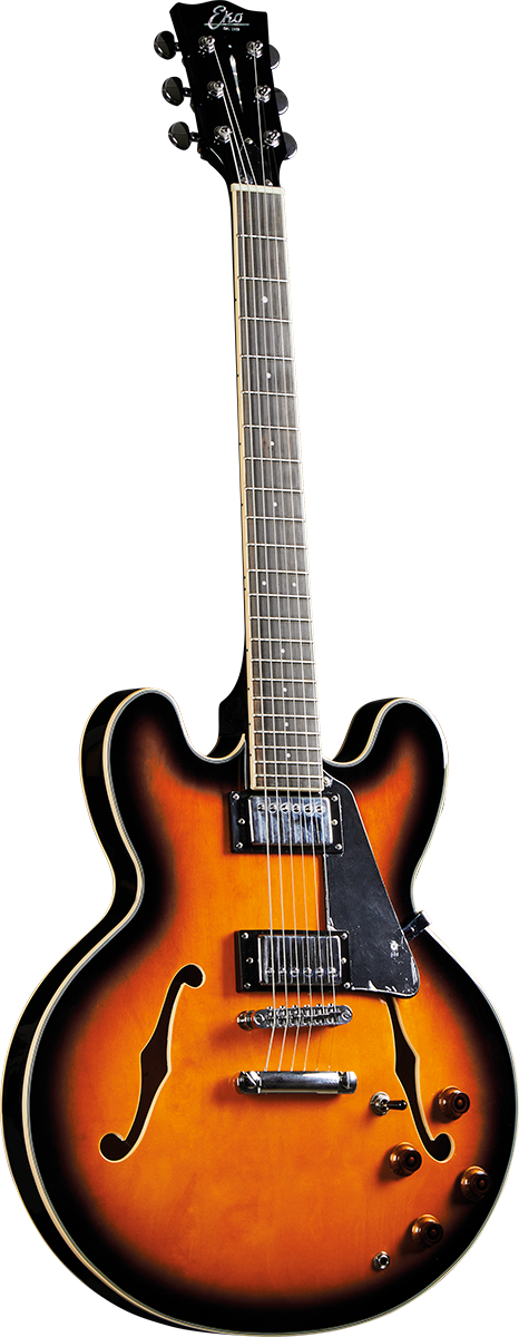Type Hollowbody double cut Sunburst