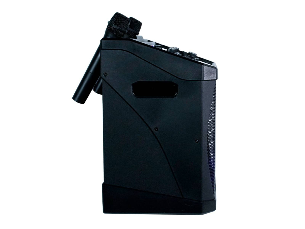 KP800-PRO - 160W KARAOKE SYSTEM