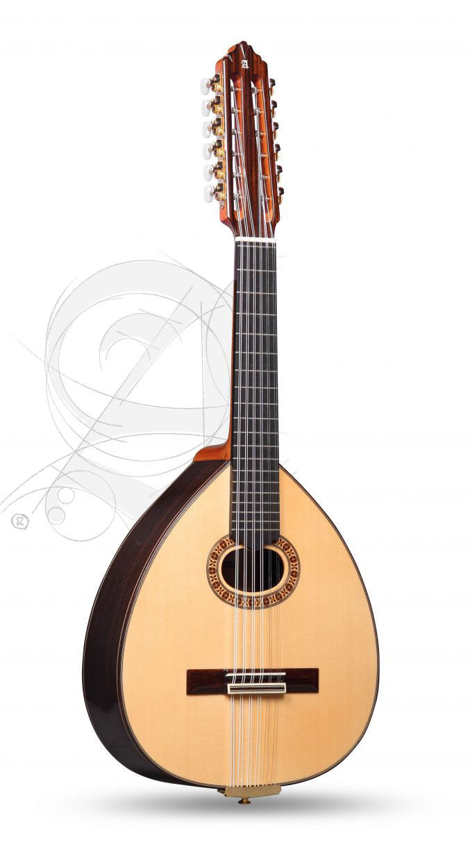 Conservatory L-6P A Lutes + 9534 Gigbag