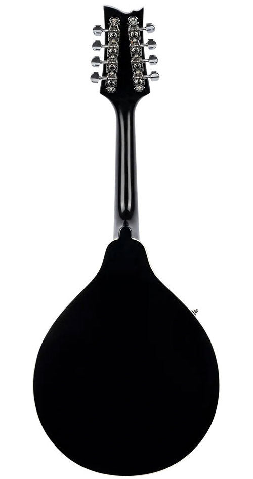 Left-Handed Mandolin