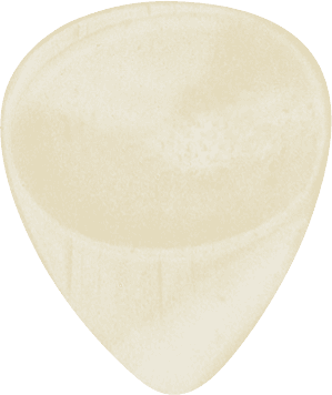GUITAR PICK BONE