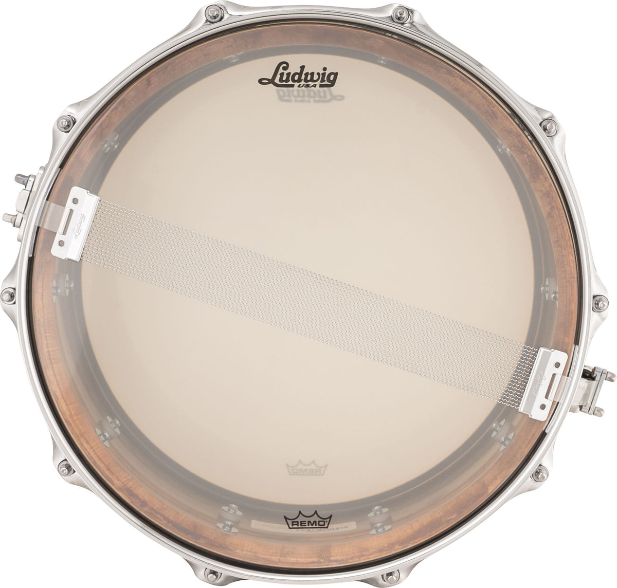 Lb550R - 14 X 5" Bronze Phonic - Raw (Coquille Tube)