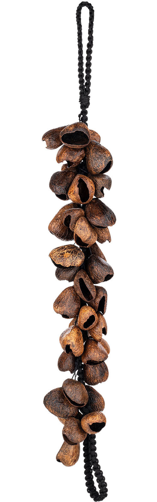 WA5 - Pangi Waterfall Shaker 40 Seeds