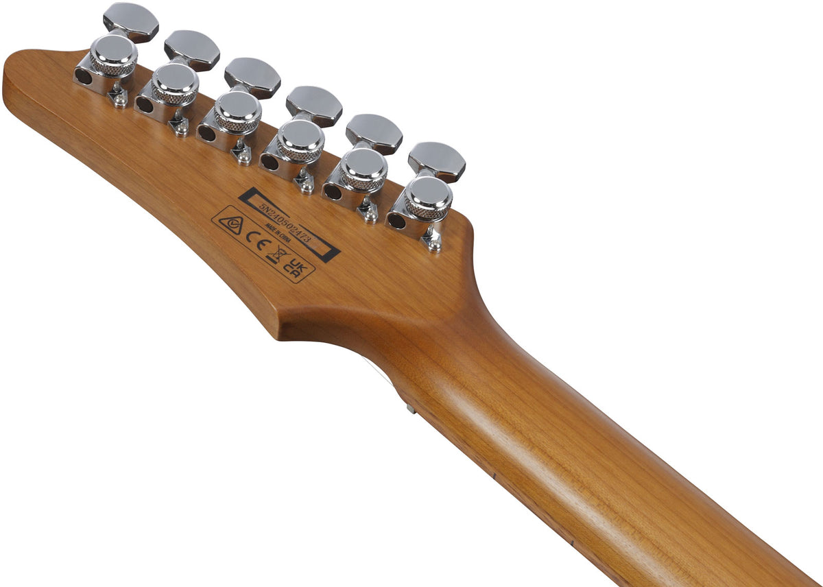 AZ22S1F-TKS Sunburst preto transparente standard