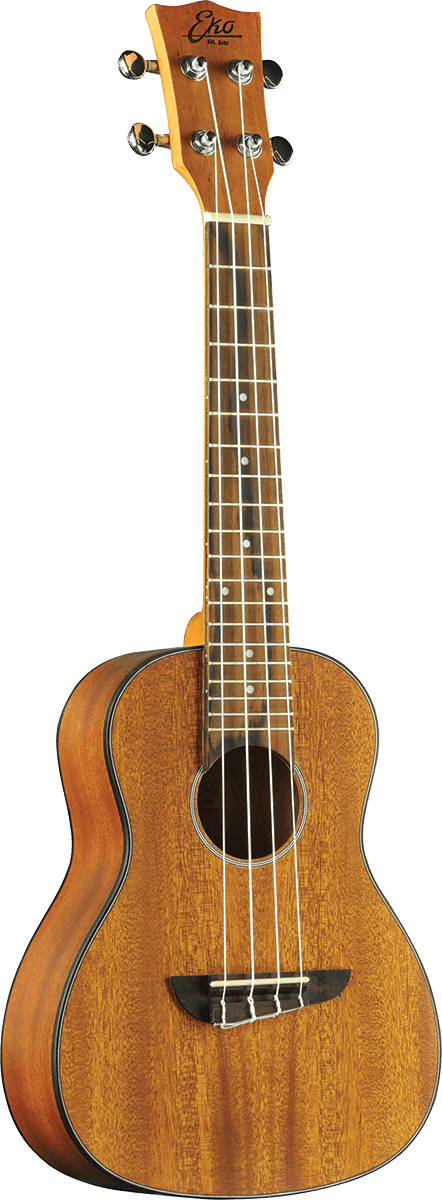 Eko Duo Concerto Pack Gigbag + Accessoires