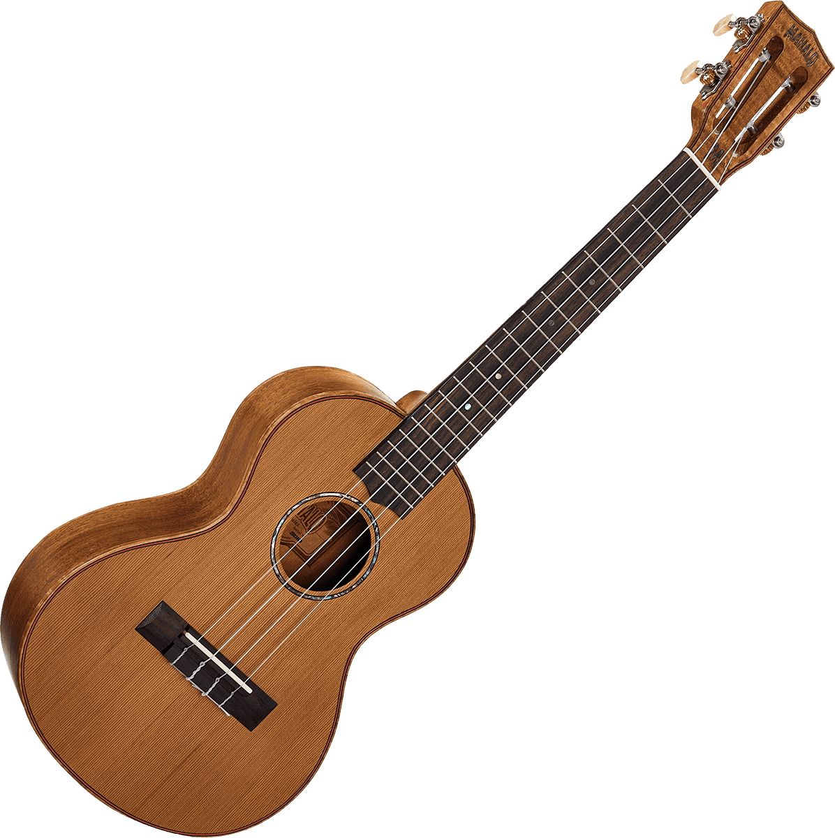 Tenor Natural Elétrico + Bolsa