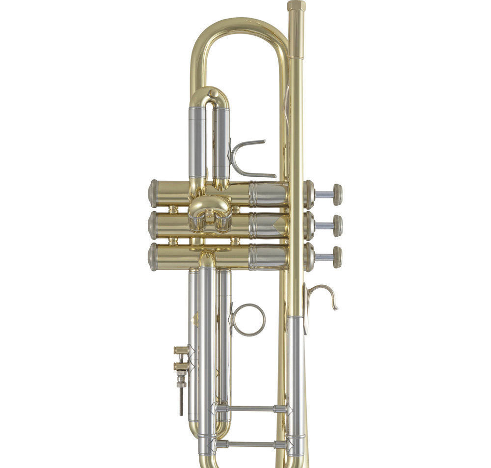 190S43 - Bb STRADIVARIUS LACADO
