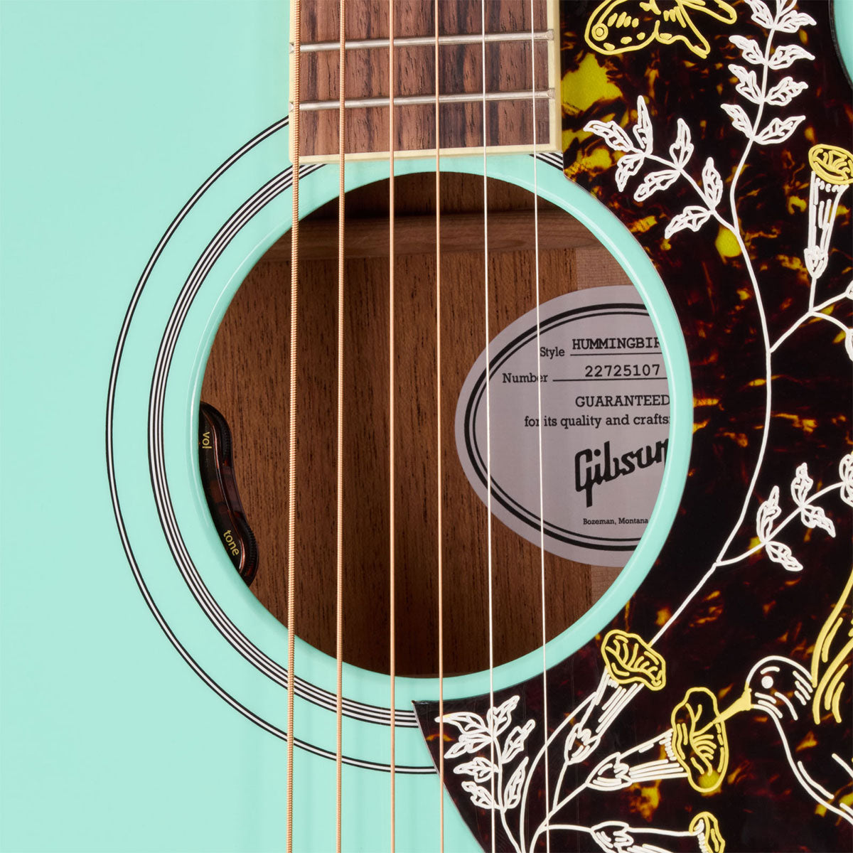 Hummingbird Standard Turquesa do sudoeste Moderno