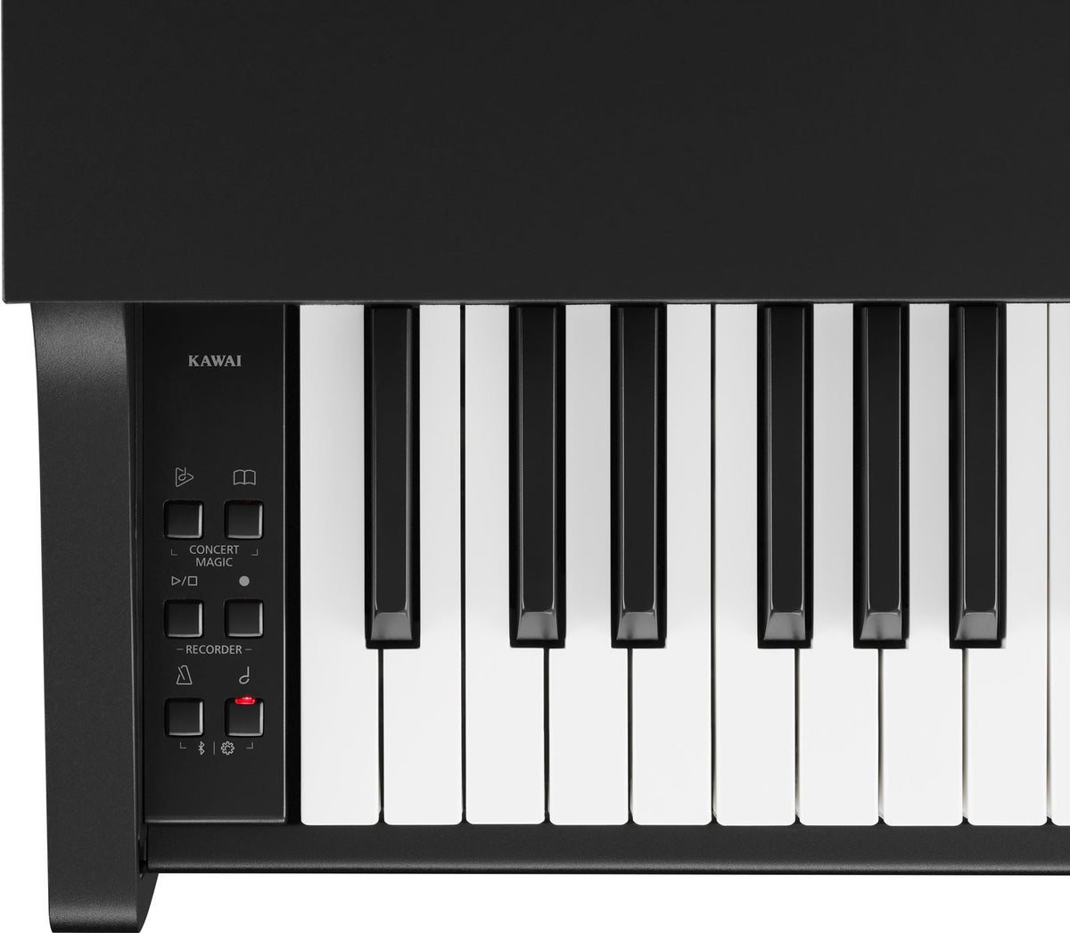 CX-102 Preto