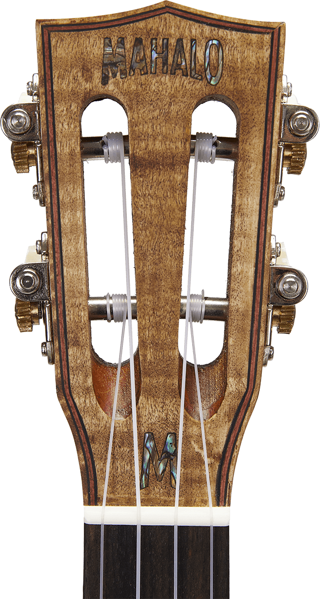 Tenor Natural Elétrico + Bolsa