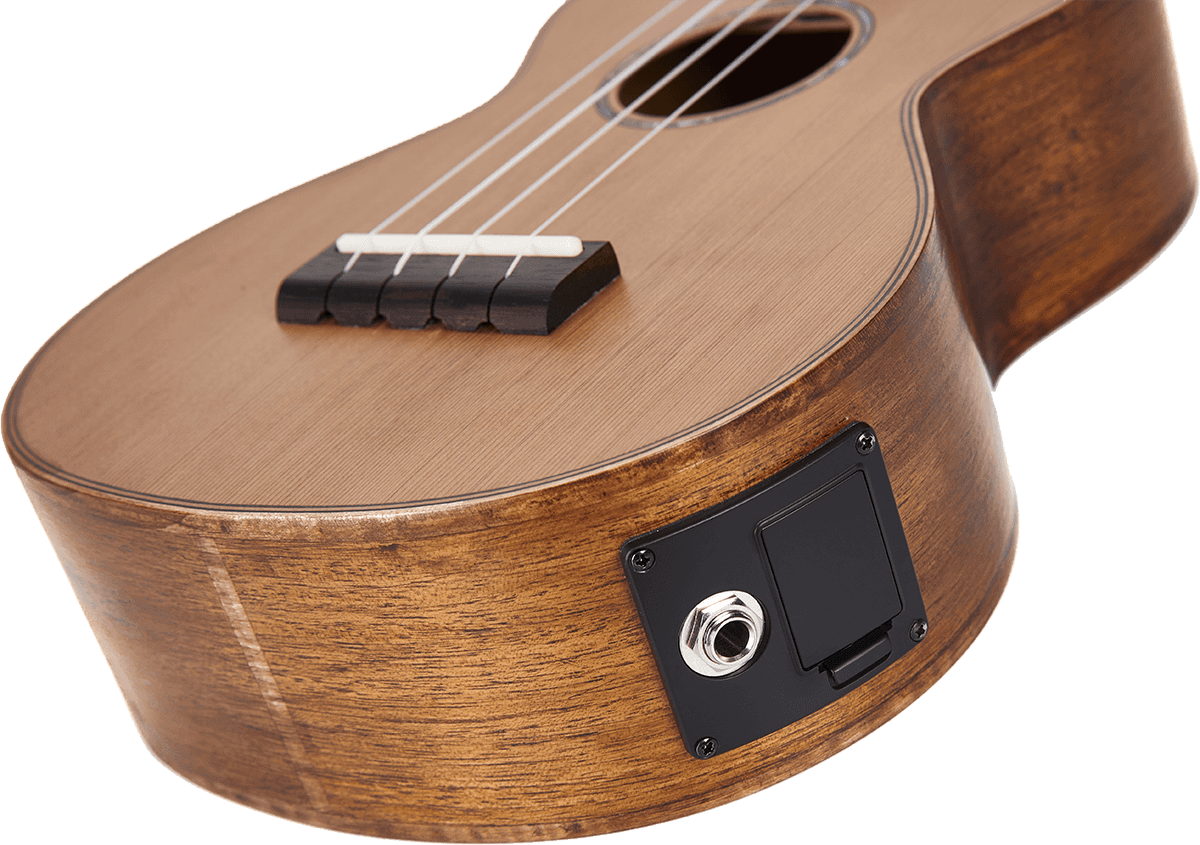 Tenor Natural Elétrico + Bolsa