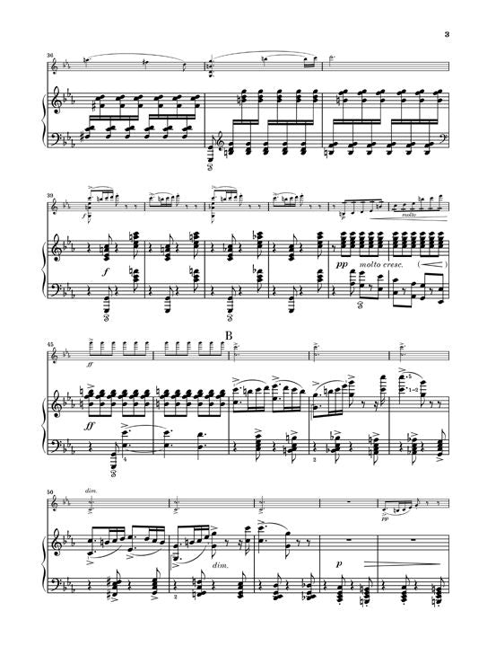 Grieg E. - Violin Sonata C Minor Op. 45