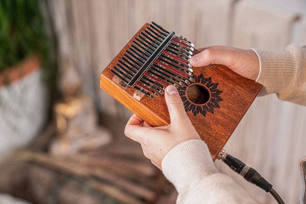 MEINL SONIC ENERGY SOUNDHOLE PICKUP KALIMBA 17 NOTES MAHOGANY