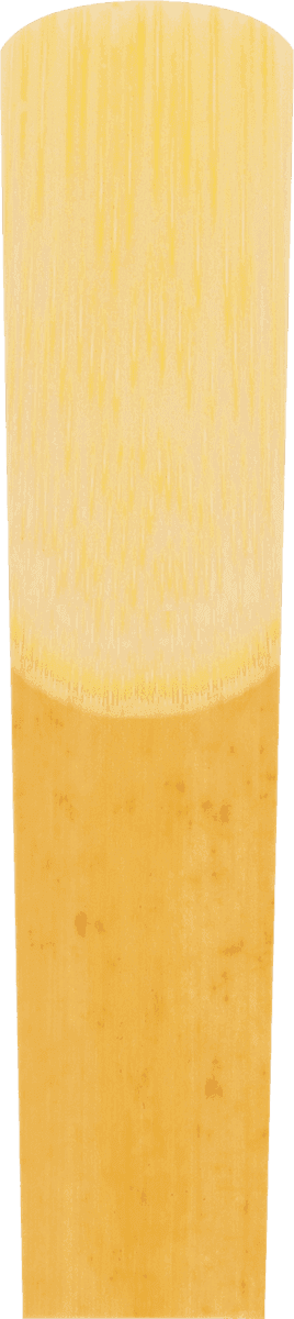 ALTO SAXOPHONE REEDS V21 4