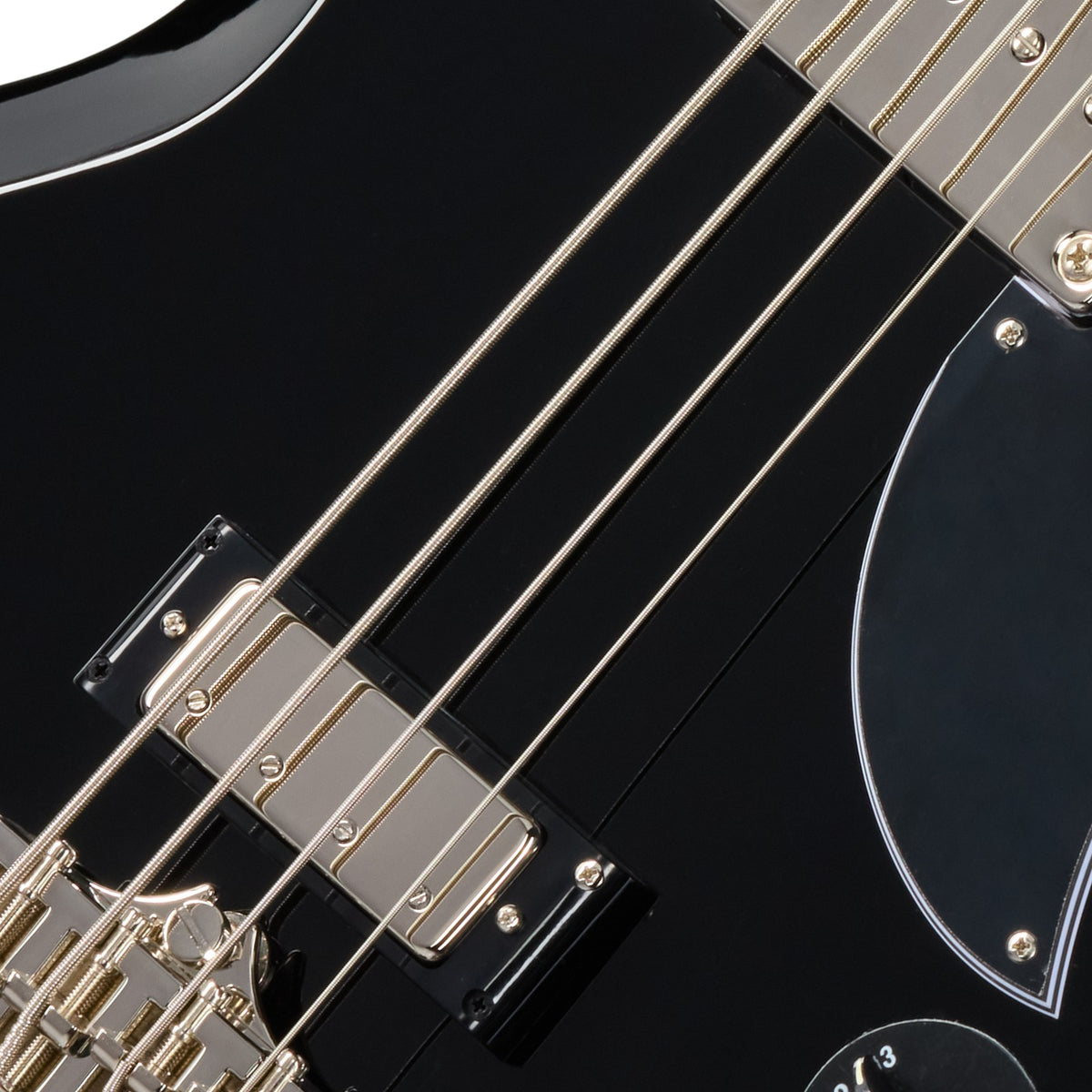 SG Bass Ebony IBG