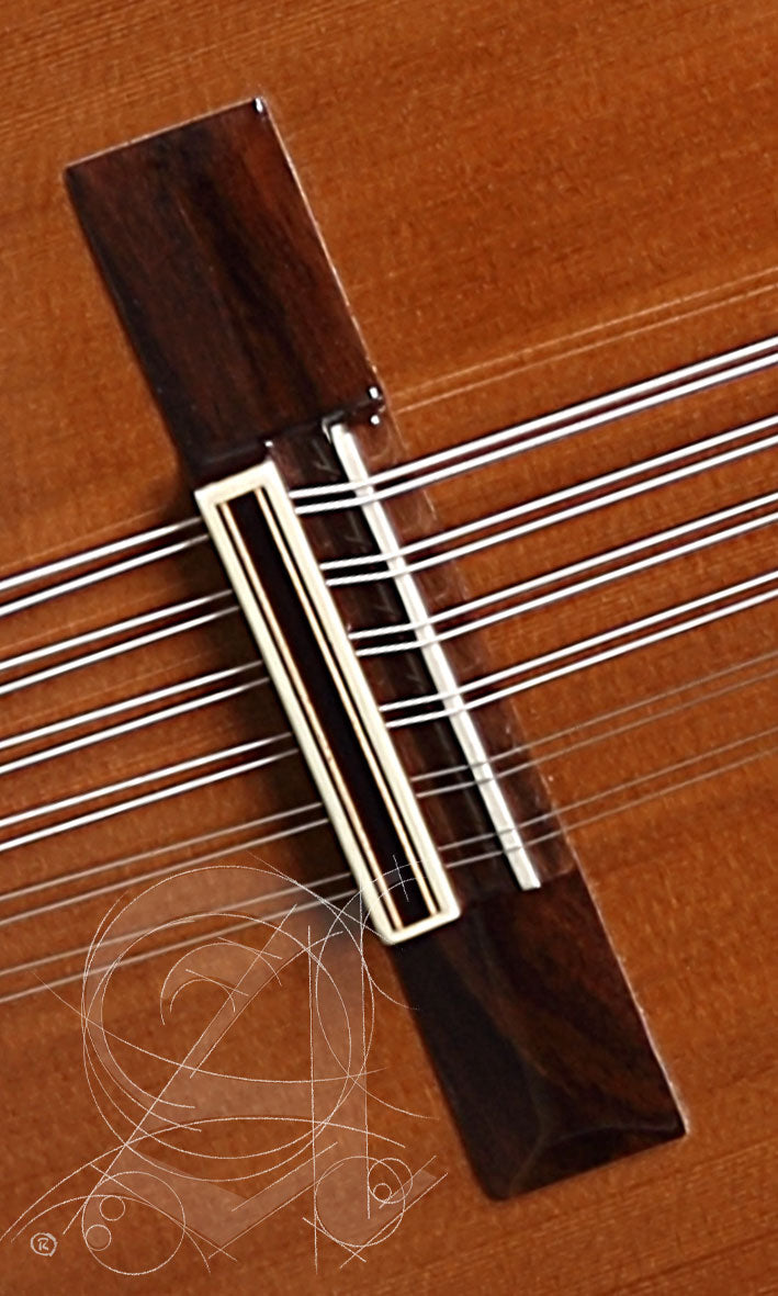 Conservatory L-4P Lutes + 9534 Gigbag