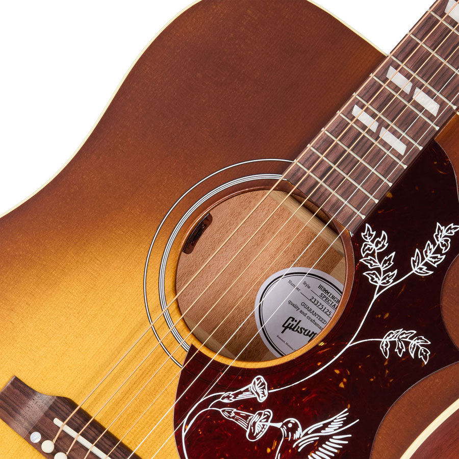 Hummingbird Special Honey Burst acetinado Moderno