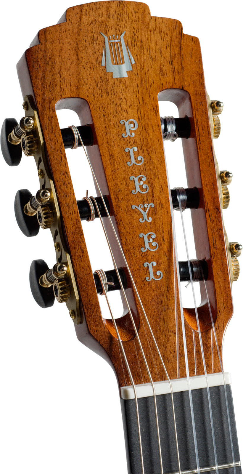 P800 Expression 4/4 + Gigbag