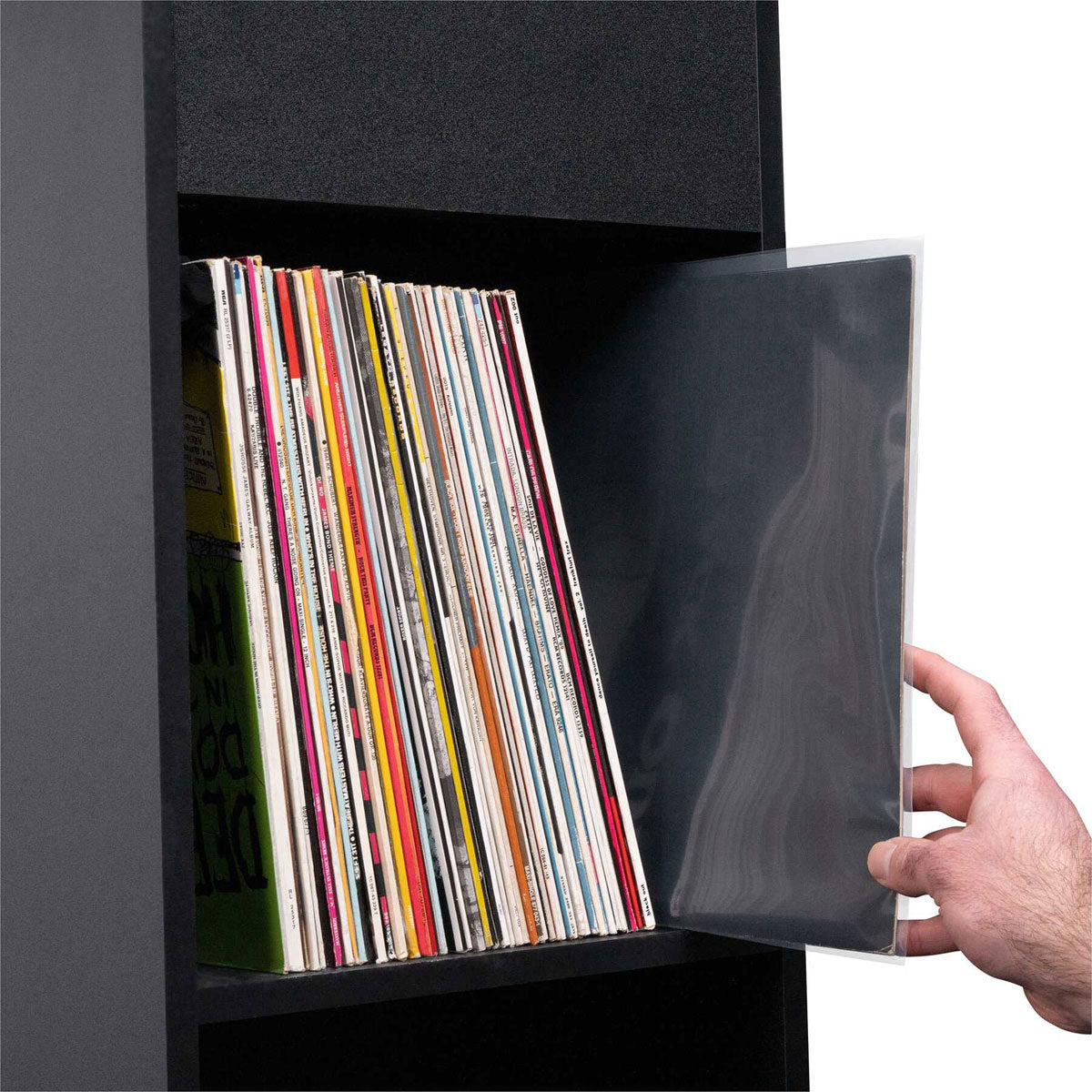 Premium 12 Vinil LP