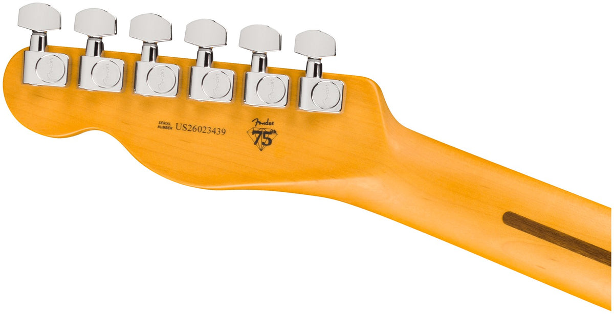 Hot Shot Telecaster American Professional, RW 3-Color Sunburst