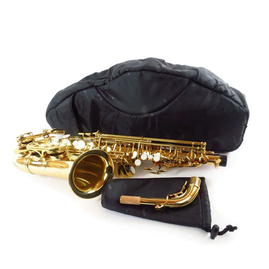 Black Alto Saxophone Case