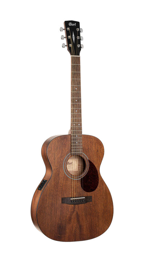 Guitarra Luce L60MF Natural Fishman
