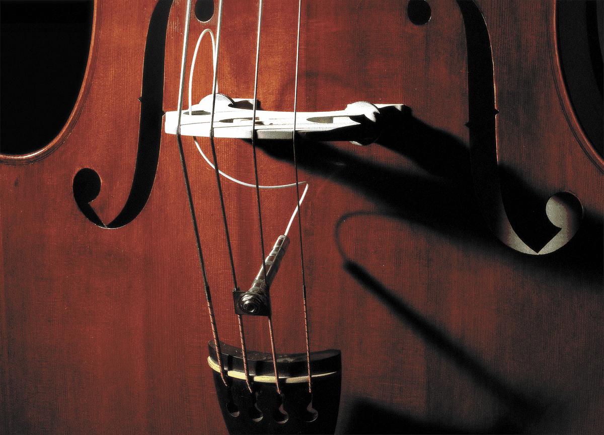 FULL CIRCLE UPRIGHT BASS PICKUP