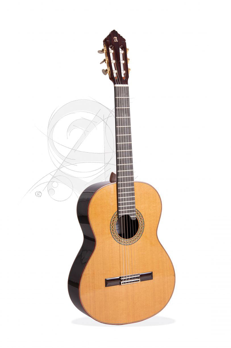 Professional Luthier Premier Pro Madagascar + 9650 Bam Iconic Case