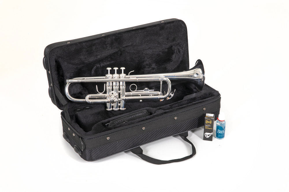 TR650S - Sib Prateada